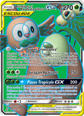 BRINDIBOU ET NOADKOKO D'ALOLA GX #214